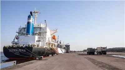 تكلفتها مليار دولار.. ما لا تعرفه عن محطة قناة السويس للحاويات بميناء شرق بورسعيد