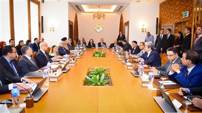 القومي لذوي الهمم يعكف حاليًا على إعداد الاستراتيجية الوطنية للإعاقة