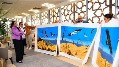 وزيرة البيئة: جبل الجلالة مرصد لأكبر عدد من الطيور المهاجرة