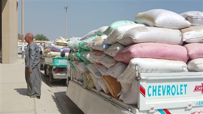 محافظ الجيزة: استلام 66 ألف طن قمح محلي بمراكز التوريد والتخزين منذ بداية موسم الحصاد 