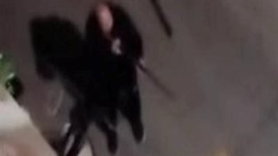 هجموا عليا قبل كده.. ضبط المتهم بإطلاق أعيرة رش تجاه الكلاب بمصر الجديدة