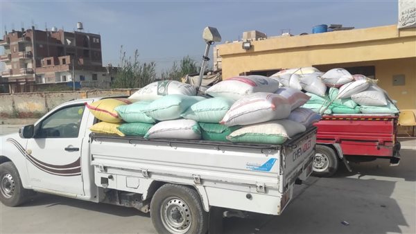 توريد القمح لشون