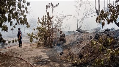 بسبب سقوط كابلات كهرباء.. نشوب حريق في المزرعة الملحقة بمستعمرة الجذام بالقليوبية