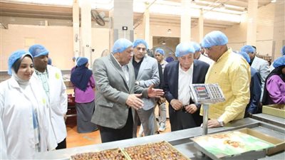 مستشار الرئيس للتنمية المحلية ومحافظ الوادي الجديد يتفقدان مجمع التمور | صور