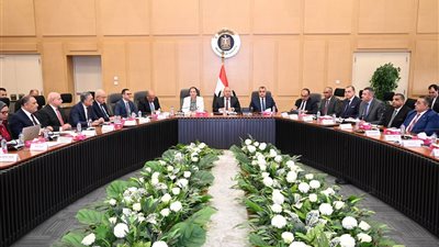 كامل الوزير: تكليف وزارتي الصناعة وقطاع الأعمال بجذب مستثمرين من القطاع الخاص الأجنبي 