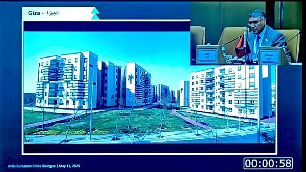 محافظ الجيزة