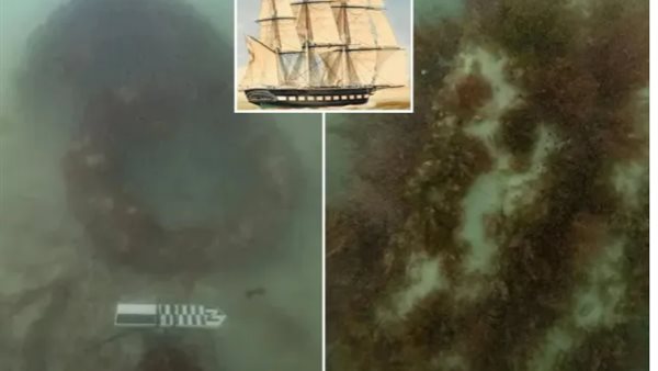 سفينة تجارية 