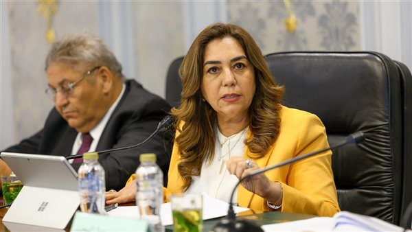 وزيرة التنمية المحلية