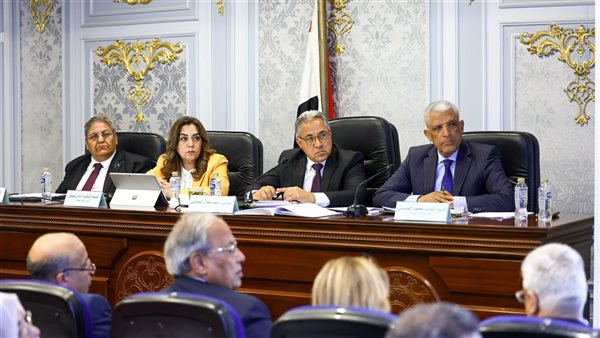 وزيرة التنمية المحلية