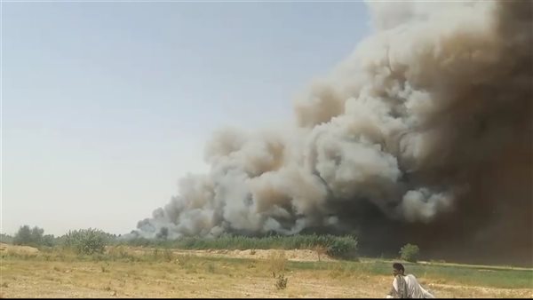 حريق داخل الغابات