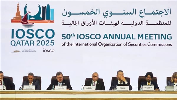 الاجتماع العام للجنة