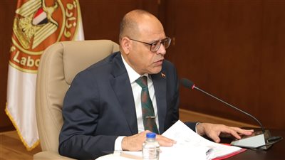 وزير العمل: إنفاق 319 مليونا و680 ألف جنيه على دعم منظومة التدريب المهني منذ تأسيسها وحتى الآن