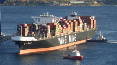 طولها 366 مترًا وعرضها 51.. ميناء دمياط يستقبل سفينة الحاويات العملاقة YM WARRANTY