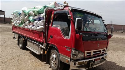 مزارعو البحيرة يواصلون توريد القمح مع استمرار أعمال الحصاد.. واستلام أكثر من 135 ألف طن