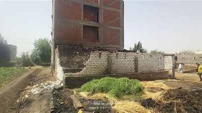 بسبب الرياح| اشتعال النيران في 3 منازل بالفيوم.. ونفوق الماشية بداخلها