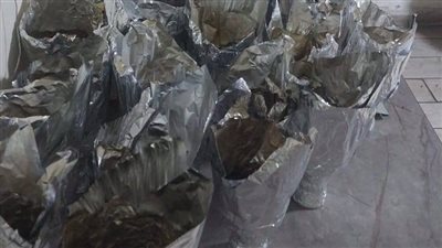 منها أغذية منتهية الصلاحية.. غلق وتشميع عدة كافيهات ومطاعم مخالفة في العجوزة