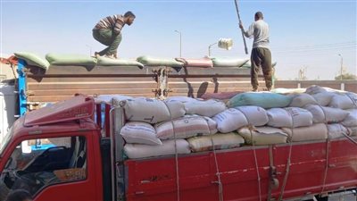 توريد 130 ألف طن قمح وصرف مليار و783 مليون جنيه مستحقات للمزارعين بسوهاج