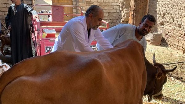 قافلة بيطرية 