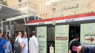 الداخلية تيسر على المصريين بالخارج.. استخراج أكثر من 8 آلاف بطاقة رقم قومي في السعودية والكويت