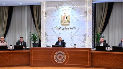 رئيس الوزراء: الجولات المُوسعة بـ اقتصادية القناة دعما لتوجه الدولة نحو توطين مختلف الصناعات
