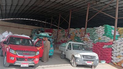 توريد أكثر من 150 ألف طن قمح من خلال 37 مركز تجميع بالبحيرة