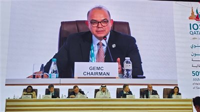 رئيس الرقابة المالية يترأس اجتماع شبكة لجنة الأسواق النامية والناشئة