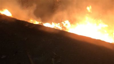 السيطرة على حريق التهم هيش ونخيلا بكورنيش مصر القديمة