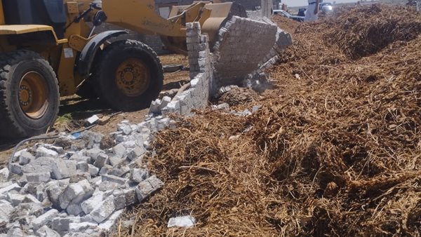 الجهود التنفيذية