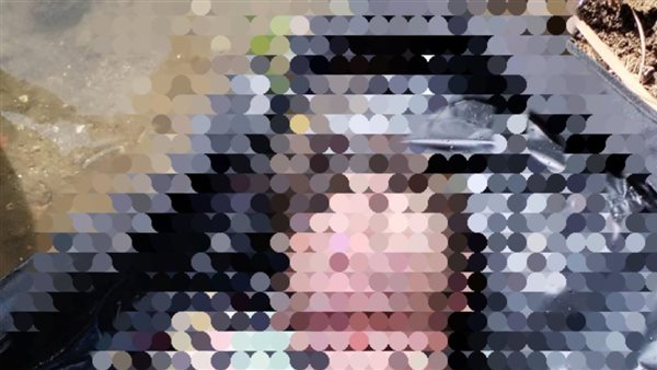 جانب من الواقعة 