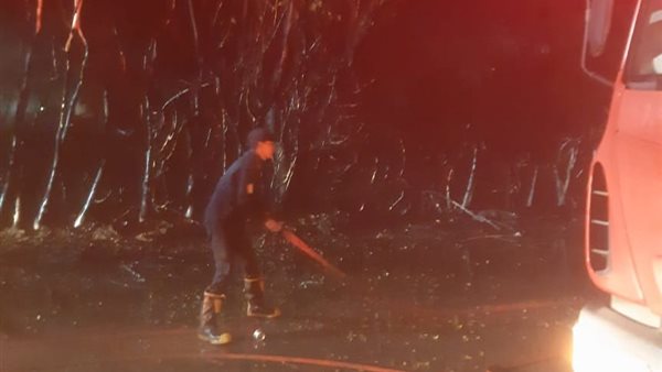 حريق _ ارشيفية