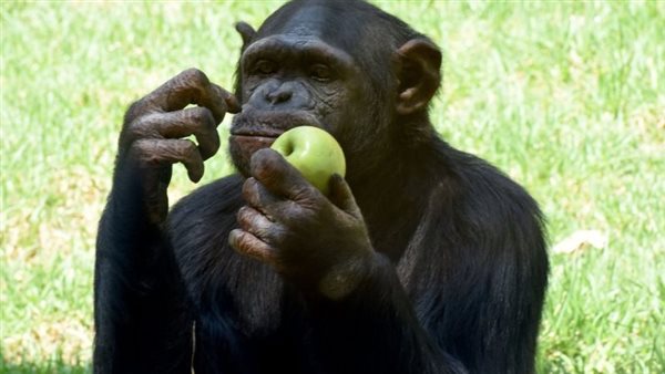  صورة تعبيرية 