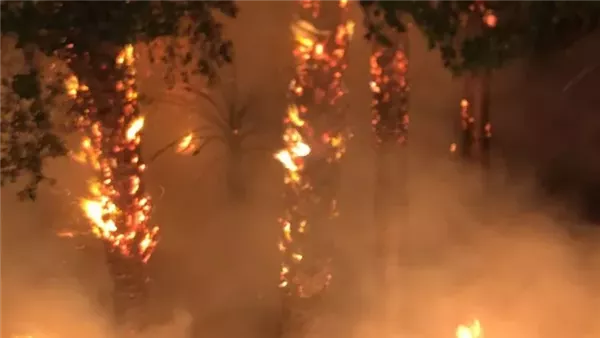 حريق كورنيش المعادي