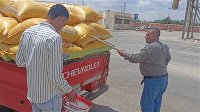 توريد 162 ألف طن قمح لشون وصوامع البحيرة