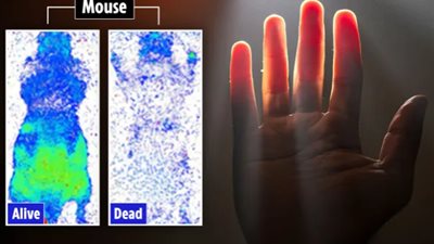 دراسة تكشف: أجسام البشر تُصدر ضوءًا خافتًا ينطفئ عند وفاتهم 