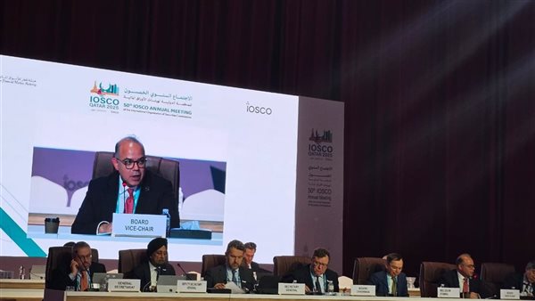 رئيس الرقابة المالية