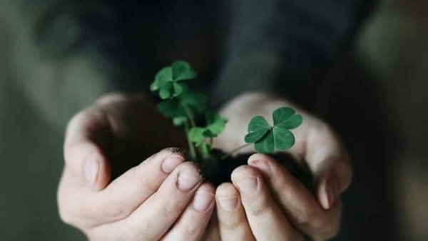 دعاء بعد صلاة الفجر