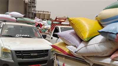 توريد أكثر من 186 ألف طن قمح لشون وصوامع البحيرة