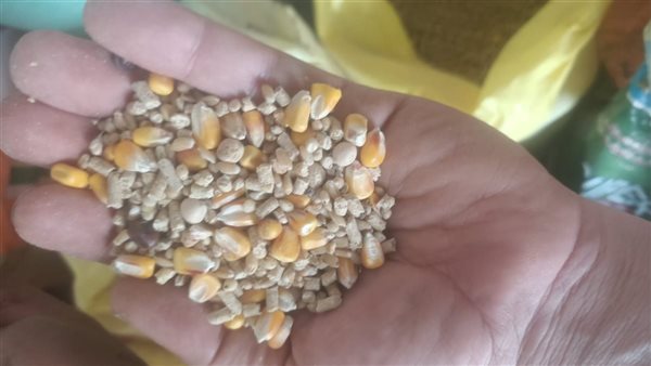 حملات تموينية على