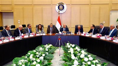 الحكومة تقر تعديلات مهمة في البرنامج الوطني لتطوير صناعة السيارات بمصر