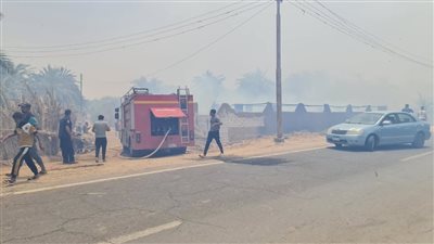 محافظ الوادي الجديد: السيطرة على حريق زراعات نخيل على مساحة فدانين