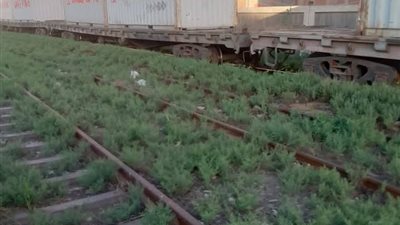 خروج 7 عربات من قطار بضائع عن القضبان بالدقهلية | صور 