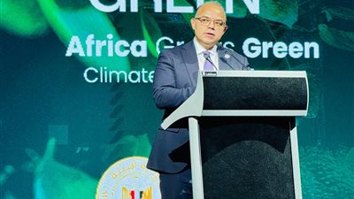 رئيس الرقابة المالية: لدينا فرص هائلة لإعادة هيكلة اقتصادات إفريقيا