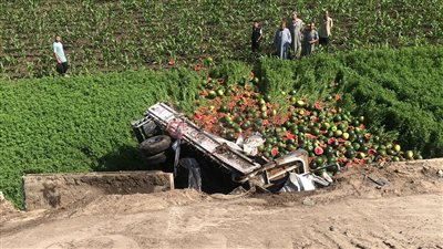 انقلاب سيارة نقل محملة بالبطيخ من أعلى الطريق الإقليمي بالمنوفية | صور