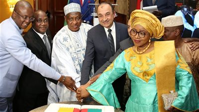 وزير قطاع الأعمال العام يشارك في احتفال سفارة الكاميرون بالقاهرة بالعيد الوطني