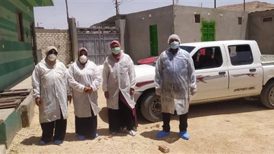 لمتابعة الموقف الوبائي.. مسح شامل لمزارع الدواجن بقنا: حالات النفوق طبيعية