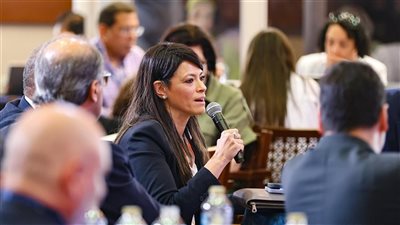 المشاط: نسعى لتحقيق تغيير نوعي في النموذج الاقتصادي لتفادي التعرض للصدمات الداخلية والخارجية