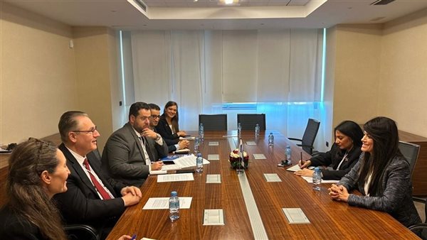 وزيرة التخطيط 