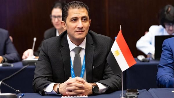 الدكتور تامر حمودة