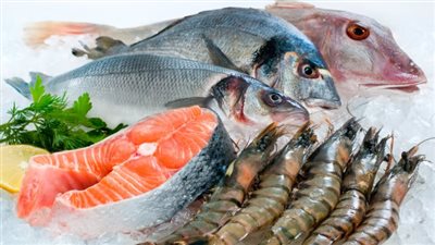 أسعار الأسماك والجمبري اليوم الأحد 23 نوفمبر 2025 في الأسواق