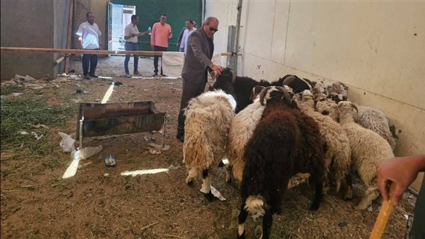 تموين الأقصر تعلن